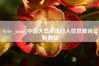 合肥中国失信被执行人信息查询公开网址
