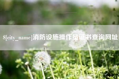 合肥消防设施操作员证书查询网址