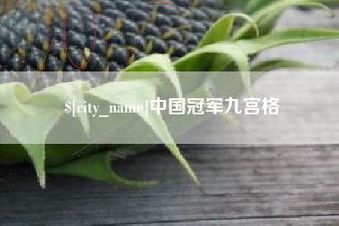 合肥中国冠军九宫格