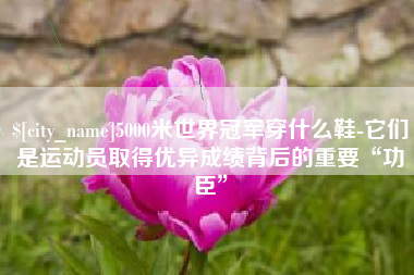 合肥5000米世界冠军穿什么鞋-它们是运动员取得优异成绩背后的重要“功臣”