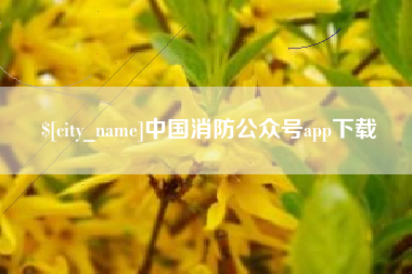 合肥中国消防公众号app下载
