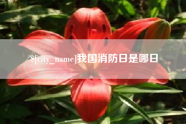 合肥我国消防日是哪日