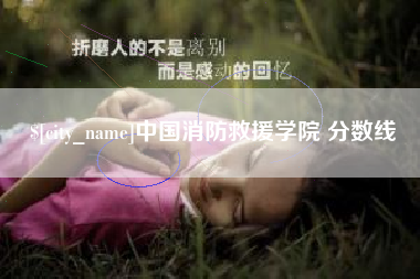 合肥中国消防救援学院 分数线