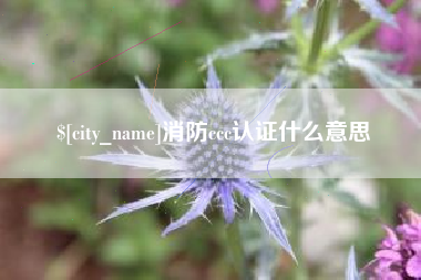 合肥消防ccc认证什么意思