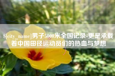 合肥男子5000米全国记录-更是承载着中国田径运动员们的热血与梦想