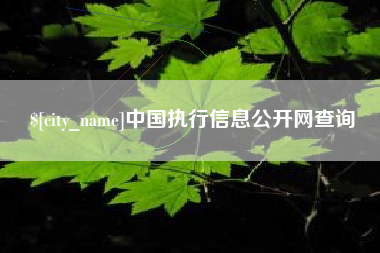 合肥中国执行信息公开网查询
