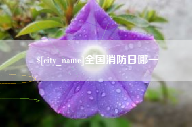 合肥全国消防日哪一