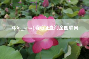 合肥消防证查询全国联网