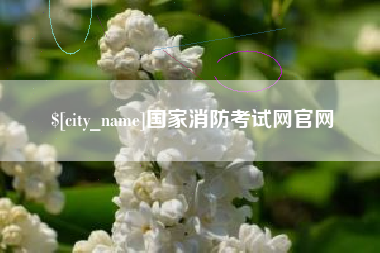 合肥国家消防考试网官网
