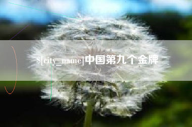 合肥中国第九个金牌