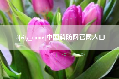 合肥中国消防网官网入口