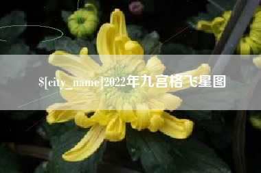 合肥2022年九宫格飞星图