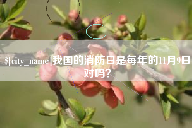 合肥我国的消防日是每年的11月9日对吗？