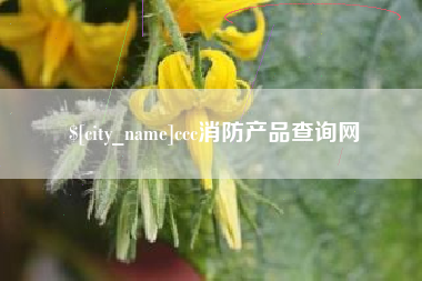 合肥ccc消防产品查询网