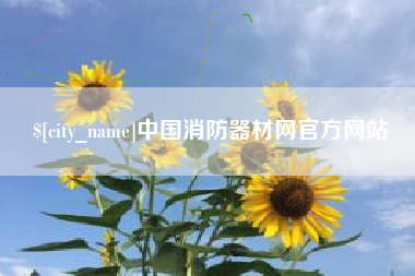 合肥中国消防器材网官方网站