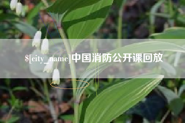 合肥中国消防公开课回放