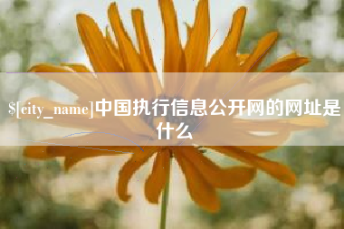 合肥中国执行信息公开网的网址是什么