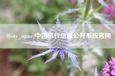 合肥中国执行信息公开系统官网