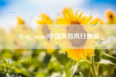 合肥中国失信执行查询
