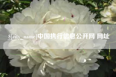 合肥中国执行信息公开网 网址