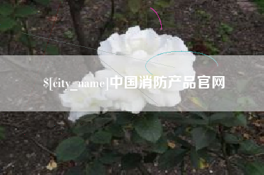 合肥中国消防产品官网