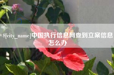 合肥中国执行信息网查到立案信息怎么办