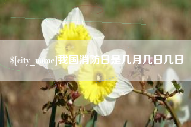 合肥我国消防日是几月几日几日