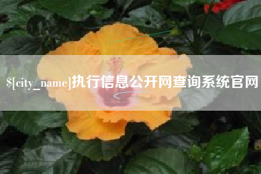 合肥执行信息公开网查询系统官网