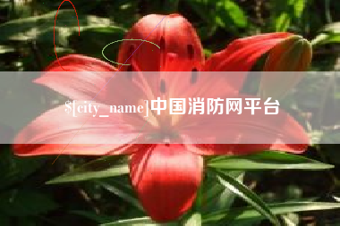 合肥中国消防网平台