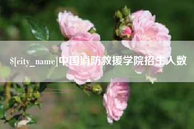 合肥中国消防救援学院招生人数
