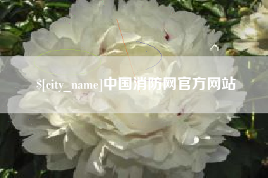 合肥中国消防网官方网站