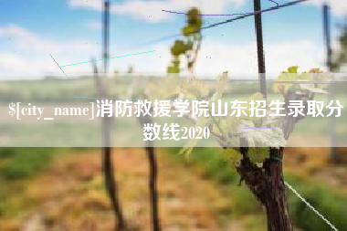 合肥消防救援学院山东招生录取分数线2020