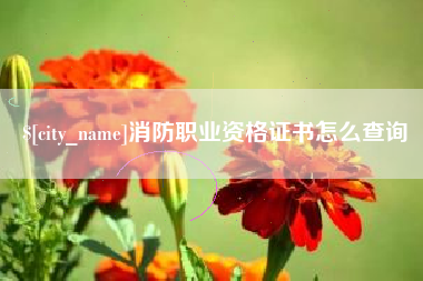 合肥消防职业资格证书怎么查询