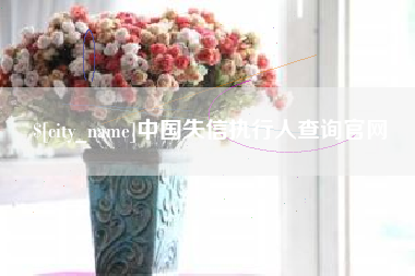 合肥中国失信执行人查询官网
