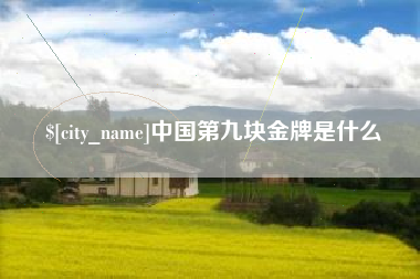 合肥中国第九块金牌是什么