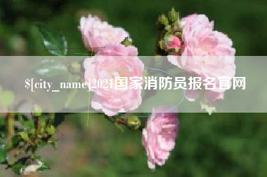 合肥2021国家消防员报名官网