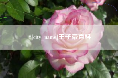 合肥王子豪百科
