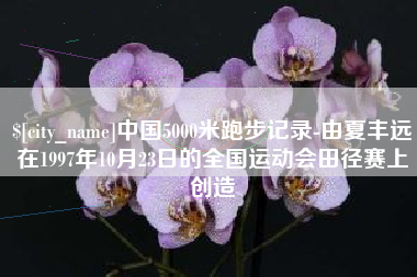 合肥中国5000米跑步记录-由夏丰远在1997年10月23日的全国运动会田径赛上创造