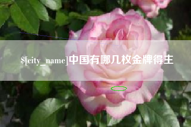 合肥中国有哪几枚金牌得主
