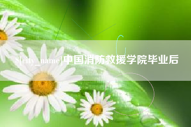 合肥中国消防救援学院毕业后