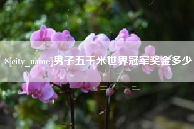 合肥男子五千米世界冠军奖金多少