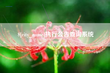 合肥执行公告查询系统