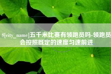 合肥五千米比赛有领跑员吗-领跑员会按照既定的速度匀速前进