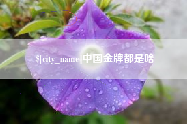 合肥中国金牌都是啥