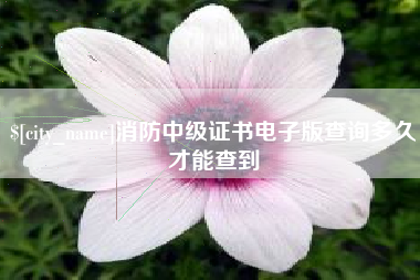 合肥消防中级证书电子版查询多久才能查到