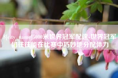 合肥5000米世界冠军配速-世界冠军们往往能在比赛中巧妙地分配体力