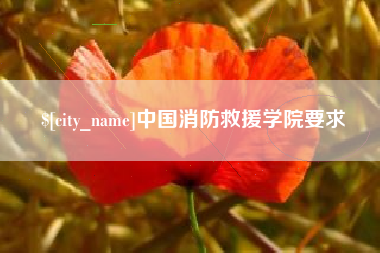 合肥中国消防救援学院要求