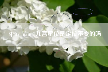 合肥九宫星位是定位不变的吗