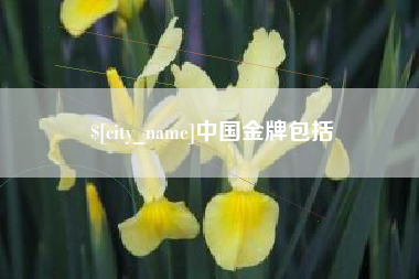 合肥中国金牌包括