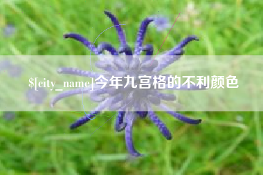 合肥今年九宫格的不利颜色